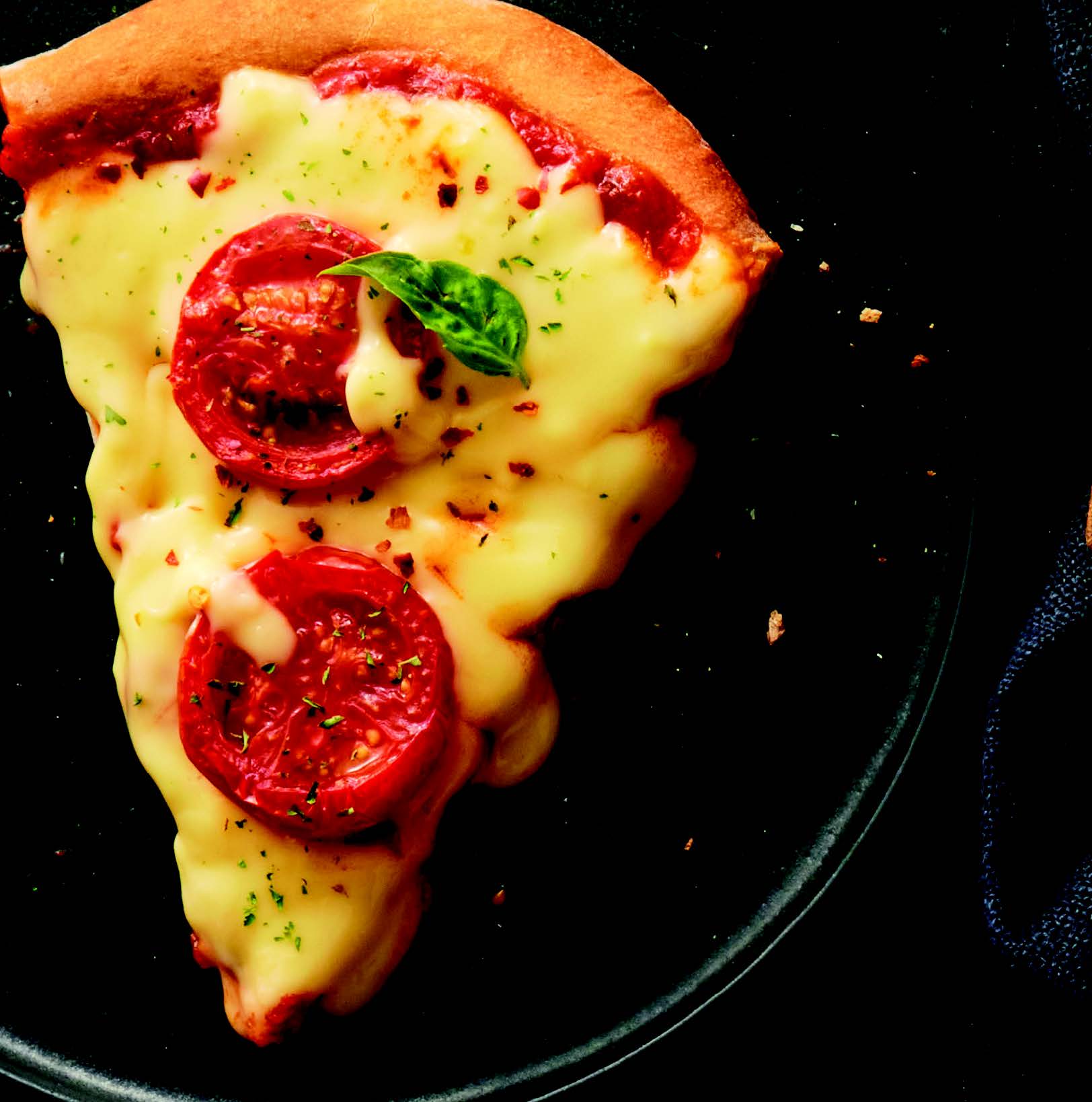 Shreds Pizza Slice