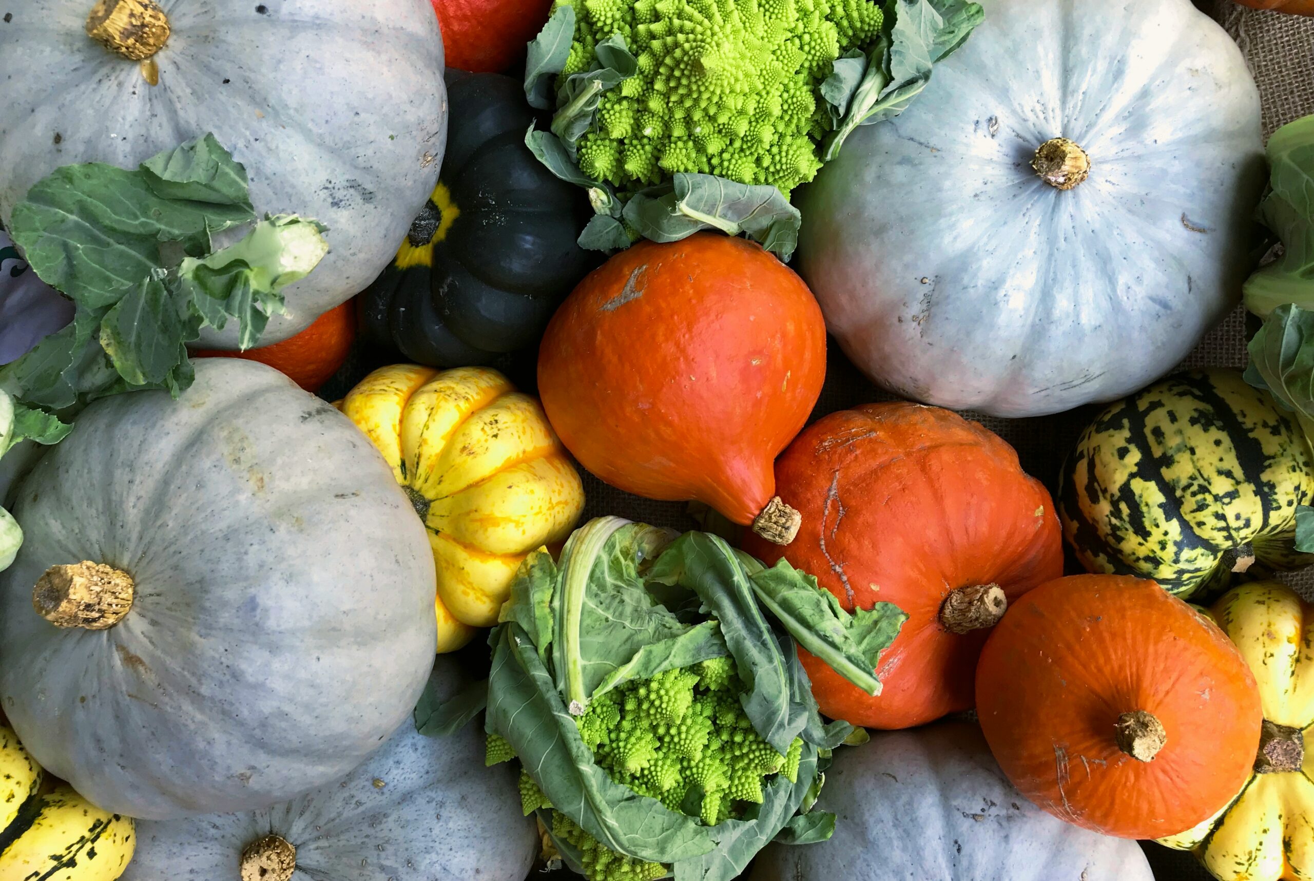October National Food Days